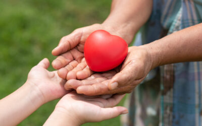 မြန်မာပြည်အတွင်း ထွက်ပြေးတိမ်းရှောင်နေရသော ဒီမိုကရေစီအရေးနှင့်လူ့အခွင့်အရေး တက်ကြွလှုပ်ရှားသူများအား ထောက်ပံ့ကြေးကူညီမည့် အစီအစဉ်