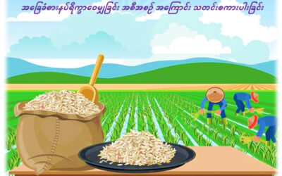 New Myanmar Foundation မှ October အတွက် ရိက္ခာဝေမျှပေးမည့် အကြောင်း သတင်းစကားပါးခြင်း
