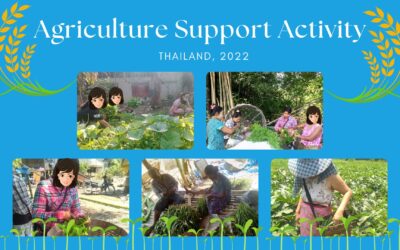 Agriculture Support Activities (2022)